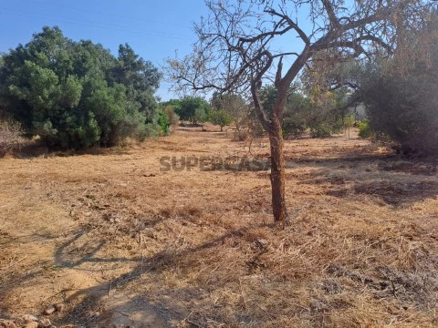 Terreno para construção em Almancil