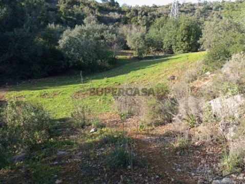 Terreno Rústico com 11.080 m² em Alcaria Cova - Vista Mar Deslumbrante!