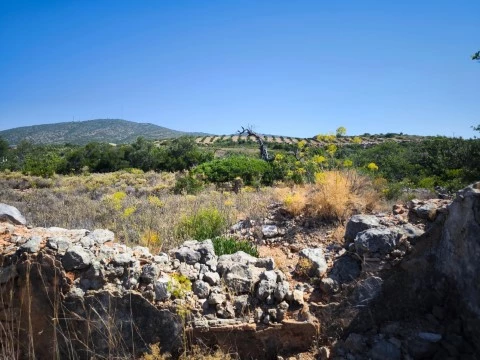 Ruina com terreno em Moncarapacho
