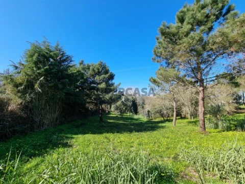 Terreno Carvalhal