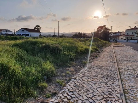 Terreno Amoreira - Óbidos (1)