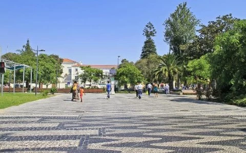 VISTA DE PROXIMIDADE