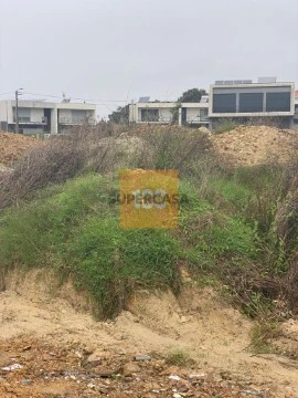 localização