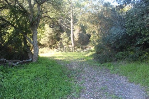 Terreno em S.Maria e S.Miguel, S.Martinho, S.Pedro Penaferrim, Sintra