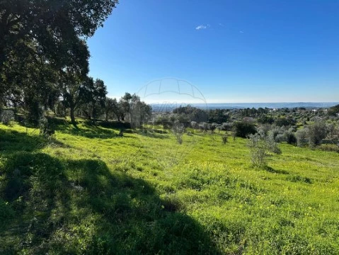 Terreno em Mouriscas, Abrantes