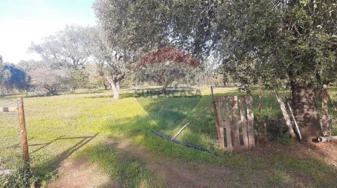 Terreno em Granja, Mourão