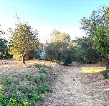 Ferme  au Coruche, Coruche