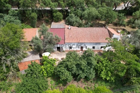 Quinta em Monchique com 3 hectares de terra.