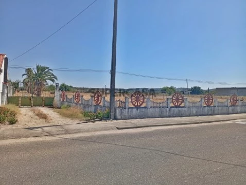 Herdade em pelo Ribatejo