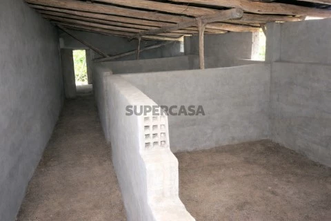 IMAGEM GERADA POR - AI