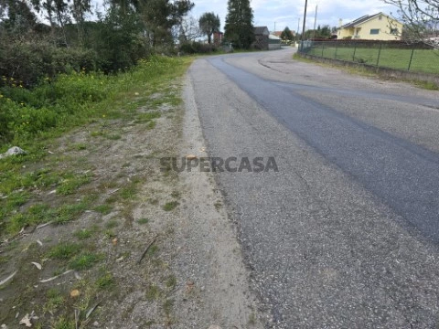 Rua