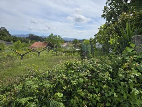 INTERIOR TERRENO