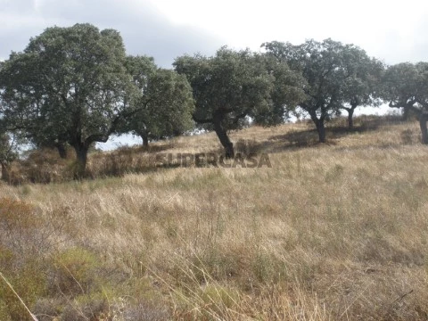 Parte do terreno