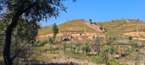 Ruina2C