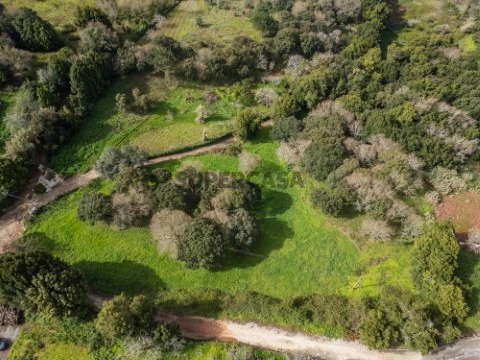 Terreno para Construção - Turquel