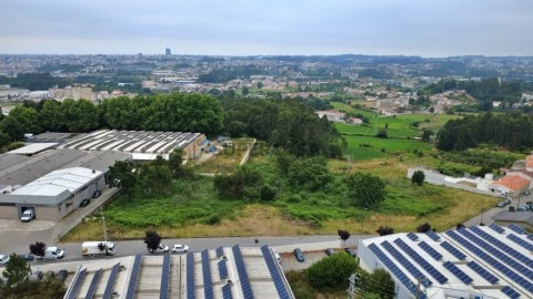 Terreno Maia