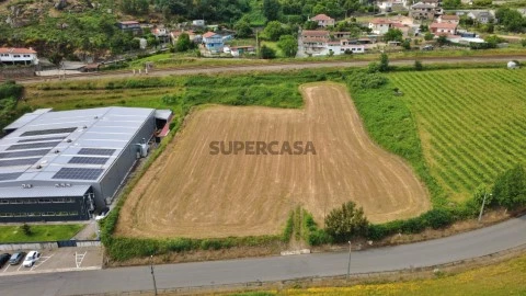 Terreno Braga