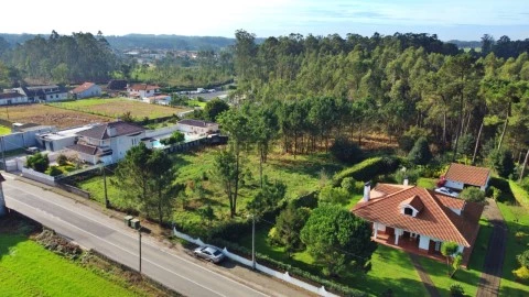 Terreno Modivas