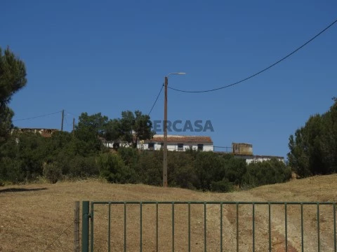 DSCN0695