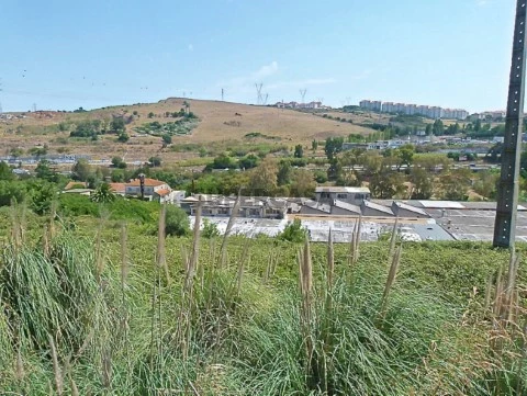 Terreno