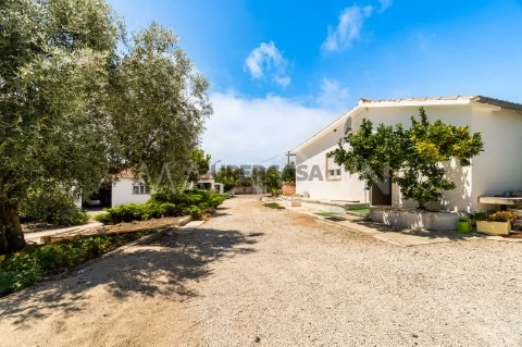 Mactown_imobiliária_Lisboa_quinta_terreno_moradia_Santarém_Alcanena_0002