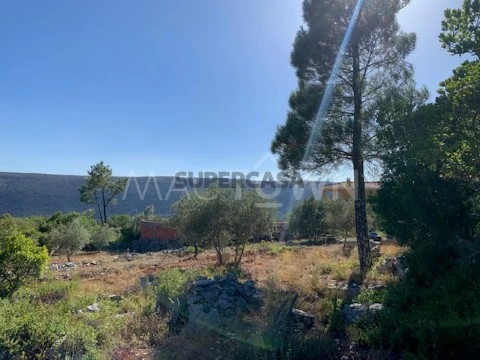Mactown_Imobiliaria_Lisboa_Mira_de_Aire_Terreno_Lote_Vende_0011