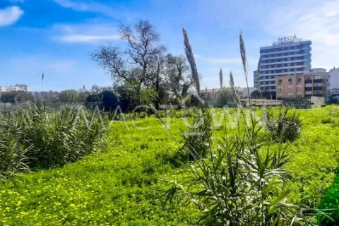 Mactown_Imobiliaria_Setúbal_Terreno (1)