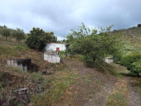Terreno