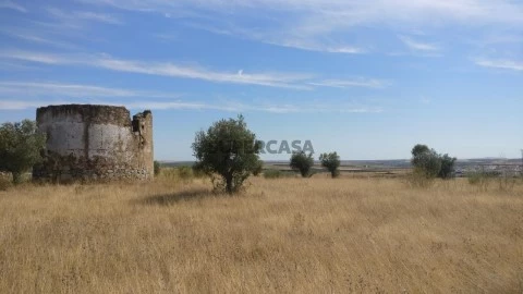 Herdade, Beja, Baleizão