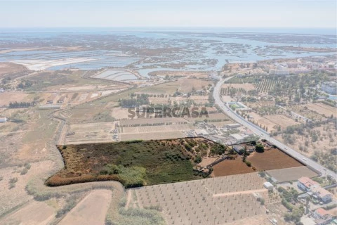 PROPRIEDADE única em Faro - 3 HECTARES, - INVESTIMENTO Sólido, Habitação, Atividade Agrícola e INDUSTRIAL