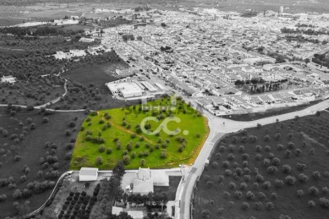 Terreno em Redondo, Redondo