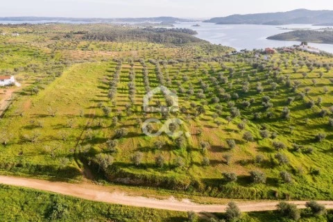 Terreno em Portel, Portel