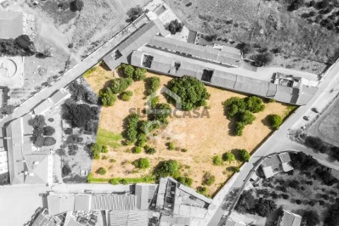 Terreno no Alvito, Alvito