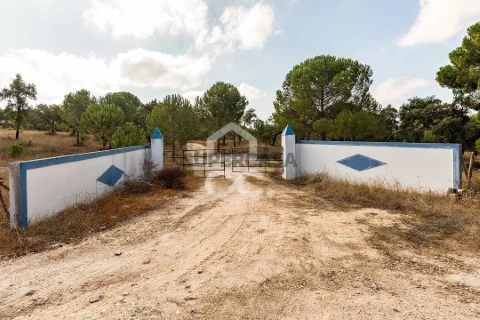 Cattle Ranch 3 卧室 在 Mora, Mora