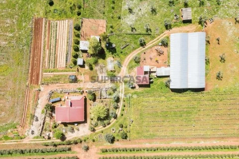 Cattle Ranch 2 卧室 在 Sousel, Sousel