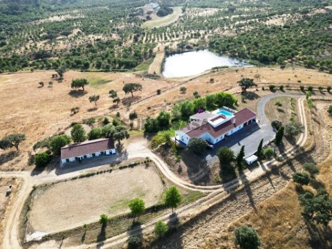 93.5 ha equestrian estate with a 5-bedroom house, swimming pool and lake in Alentejo, Portugal (108)