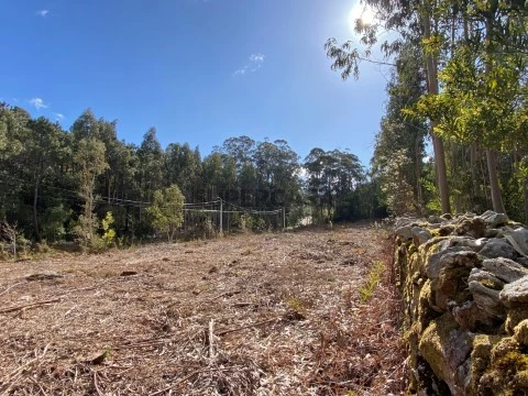 Terreno em Cristelo (3)