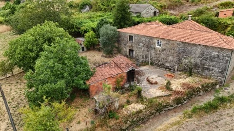Quinta Paredes Coura (7)