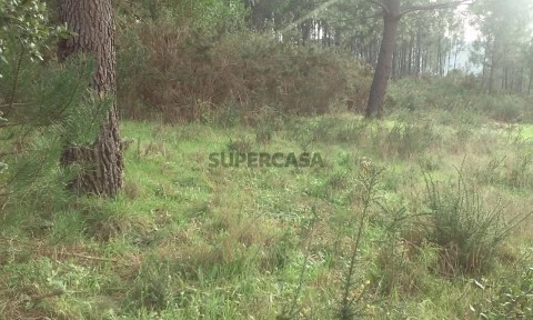 Terreno - Seixas