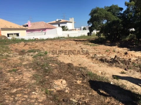 Terreno em Gâmbia-Pontes-Alto Guerra, Setúbal