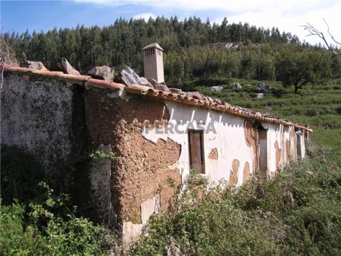 Quinta para Venda em Monchique na Arinha