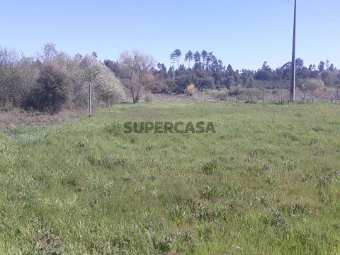 Terreno em Arcos e Mogofores, Anadia