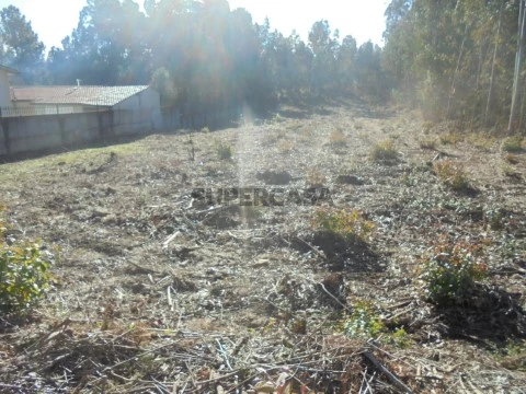 Terreno em Sangalhos, Anadia