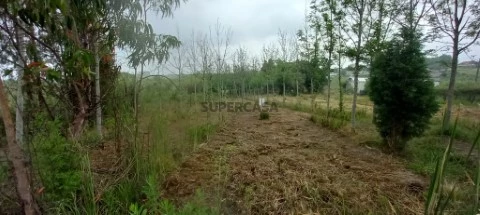 Terreno na Rua da Fonte Nova, Amoreira da Gândara, Paredes do Bairro e Ancas, Anadia
