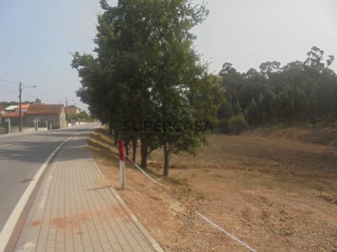 Terreno em Sangalhos, Anadia