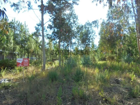 Terreno em Oliveira do Bairro, Oliveira do Bairro