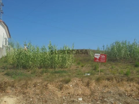 Terreno em Arcos e Mogofores, Anadia