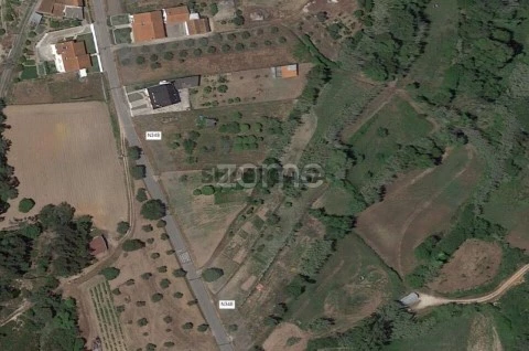 Terreno
