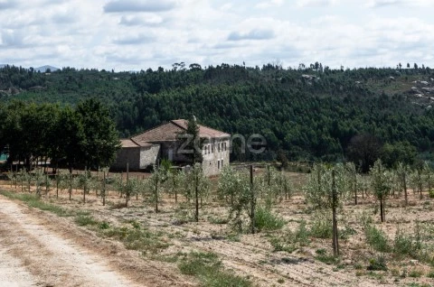 Terreno