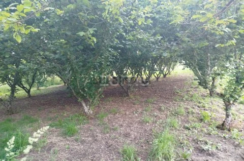 Área envolvente